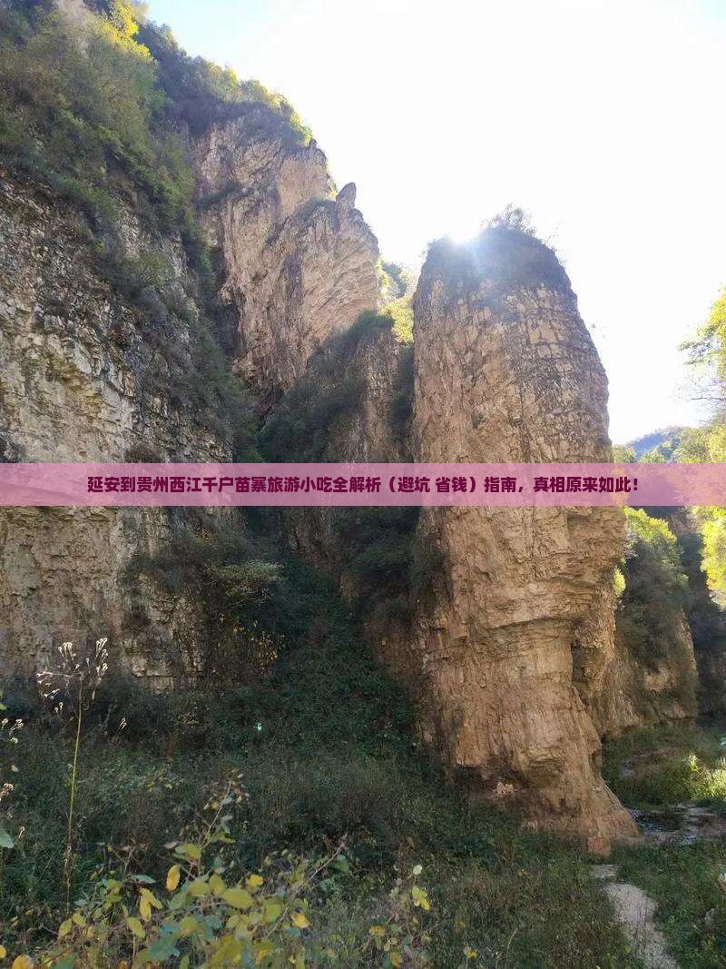 延安到贵州西江千户苗寨旅游小吃