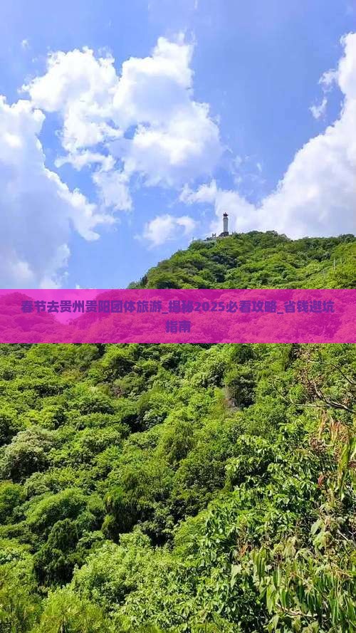 春节去贵州贵阳团体旅游