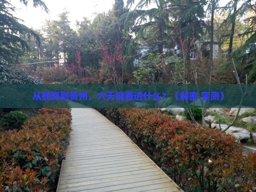 鹤岗到贵州六日游