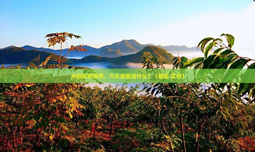 鹤岗到贵州六日游