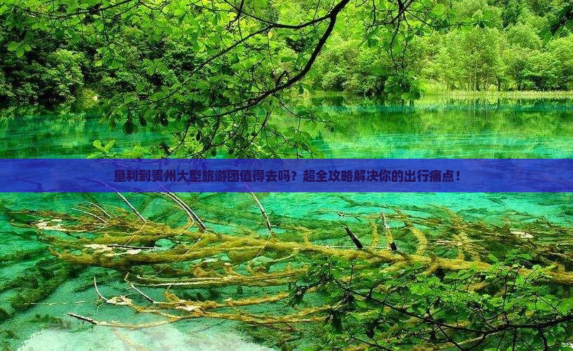 垦利到贵州大型旅游团