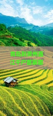 青岛到贵州西江千户苗寨哪里玩