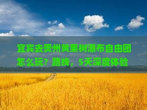 宜宾去贵州黄果树瀑布自由团