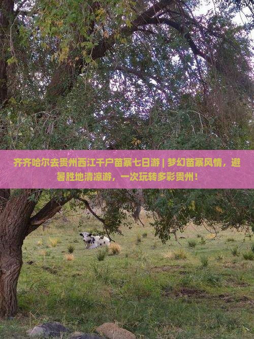 齐齐哈尔去贵州西江千户苗寨七日游