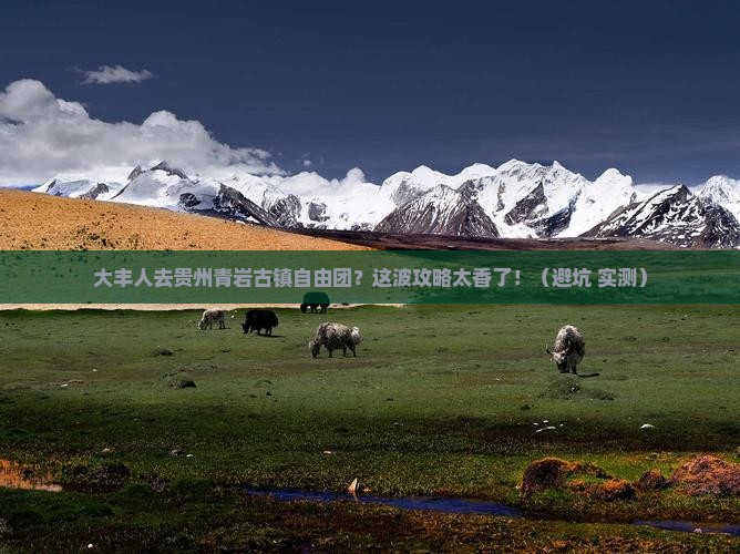 大丰去贵州青岩古镇自由团