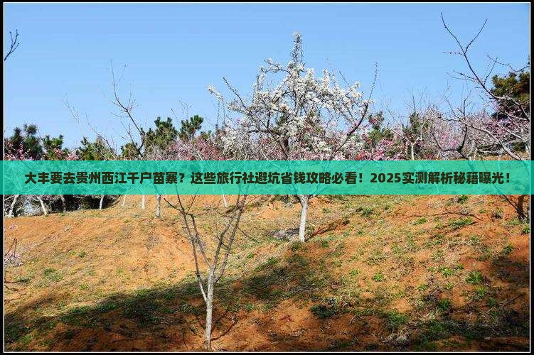 大丰去贵州西江千户苗寨旅行社