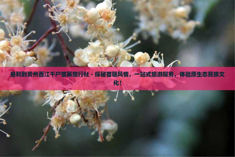 垦利到贵州西江千户苗寨旅行社