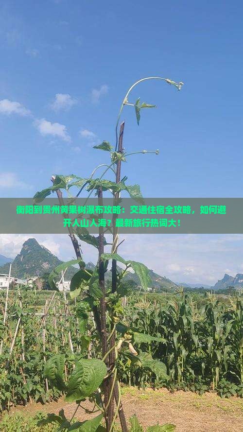 衡阳到贵州黄果树瀑布攻略