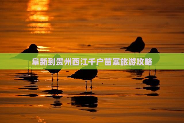 阜新到贵州西江千户苗寨旅游