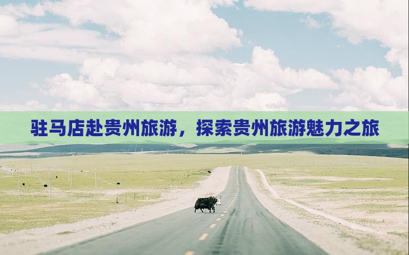 驻马店去贵州团体旅游