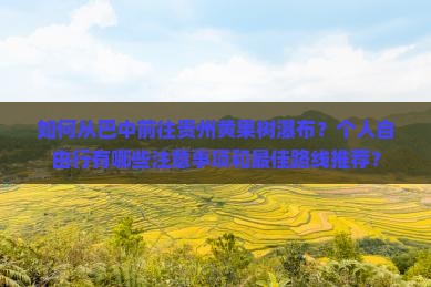 巴中去贵州黄果树瀑布个人游