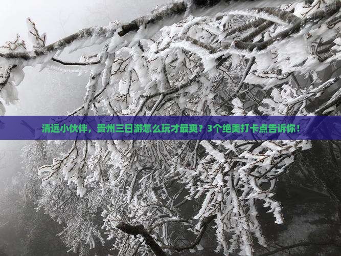 清远去贵州三日游