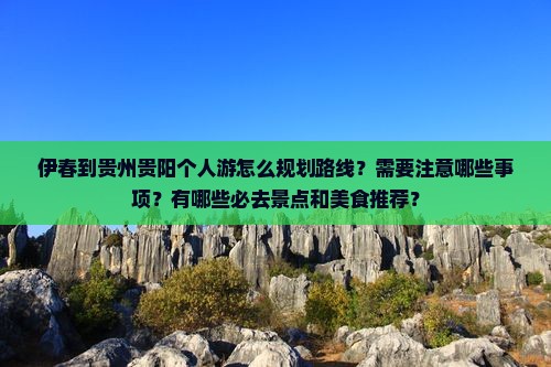伊春到贵州贵阳个人游