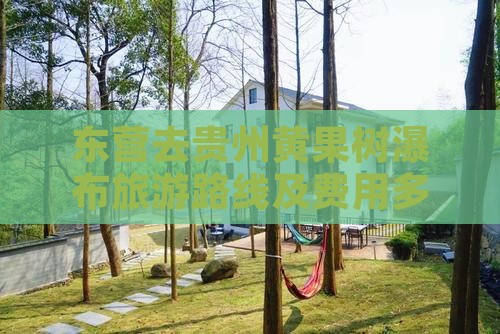 东营去贵州黄果树瀑布旅游