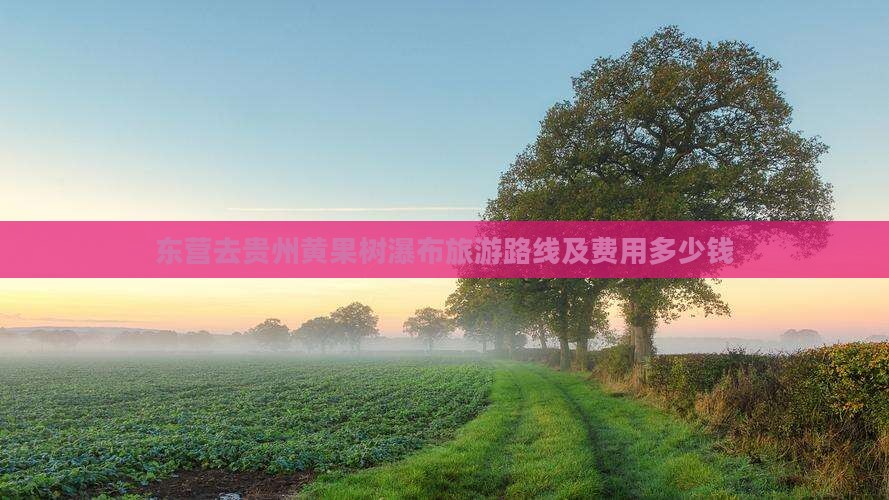 东营去贵州黄果树瀑布旅游