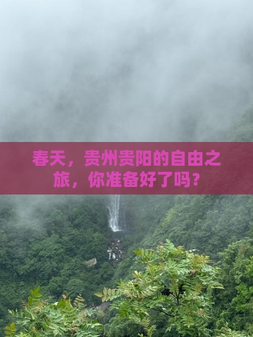 春天到贵州贵阳自由团 春天到贵州贵阳自由团