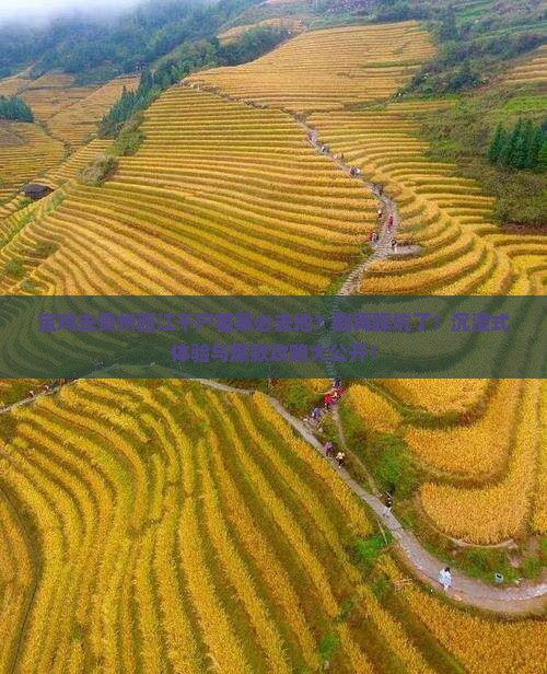 宝鸡去贵州西江千户苗寨必去地