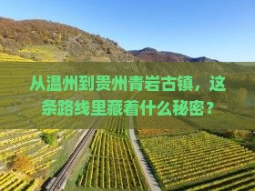 温州到贵州青岩古镇必去地