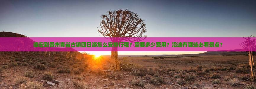 德宏到贵州青岩古镇四日游