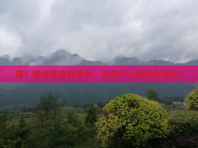 攀枝花去贵州个人游