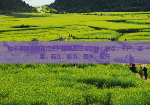 哈尔滨到贵州西江千户苗寨四日游