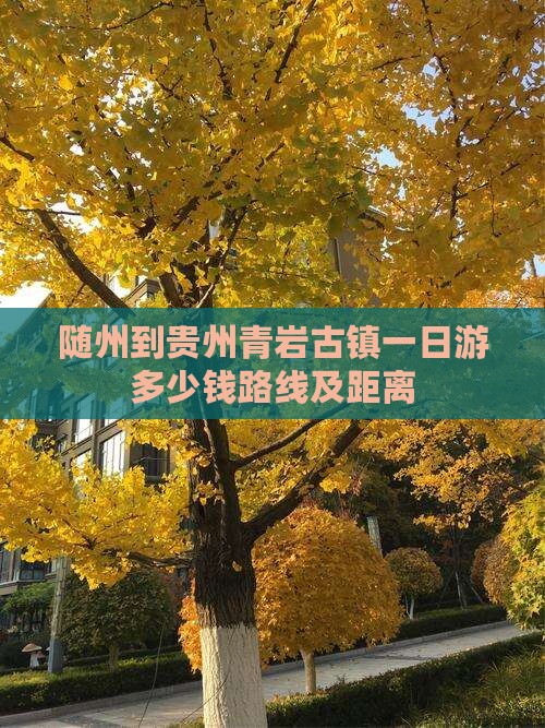 随州到贵州青岩古镇一日