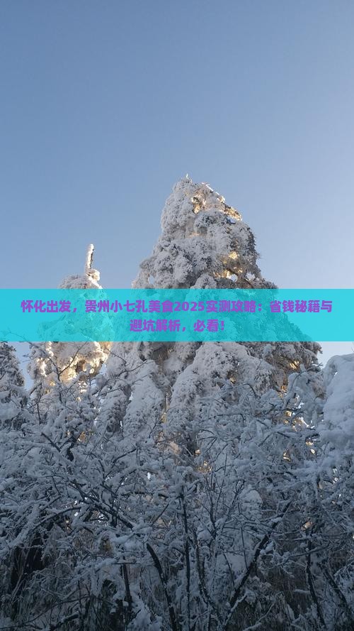 怀化去贵州小七孔旅游小吃