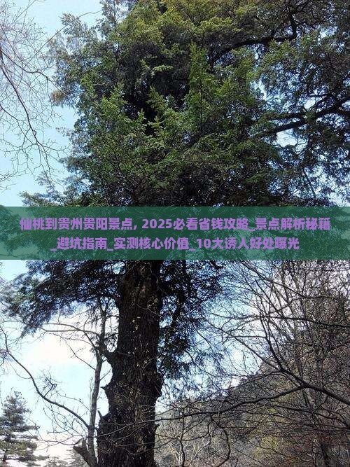 仙桃到贵州贵阳景点