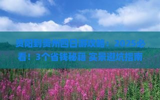 资阳到贵州四日游