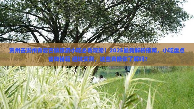 贺州去贵州青岩古镇旅游小吃