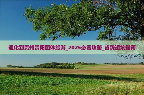 通化到贵州贵阳团体旅游