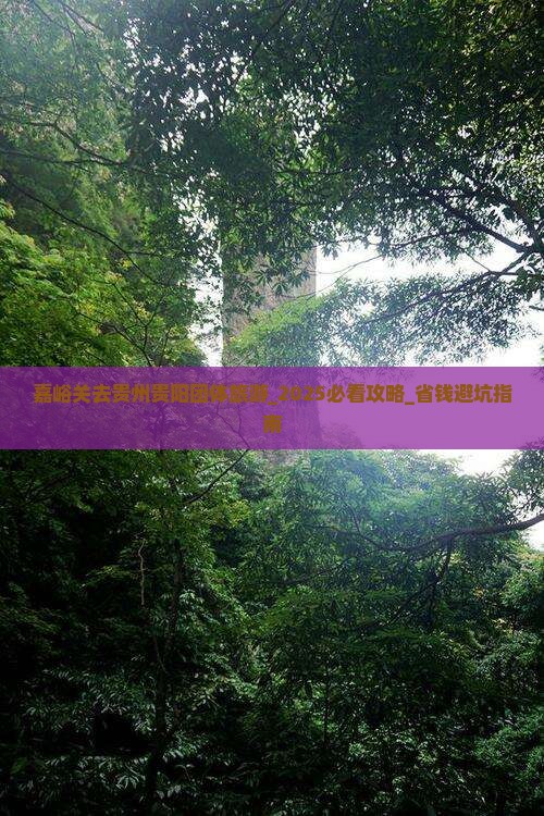 嘉峪关去贵州贵阳团体旅游