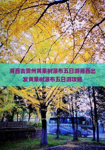 湘西去贵州黄果树瀑布五日游