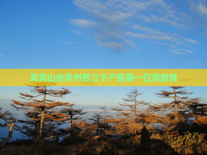 武夷山去贵州西江千户苗寨一日