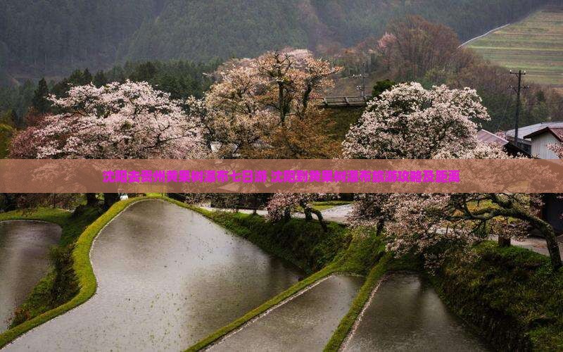沈阳去贵州黄果树瀑布七日游