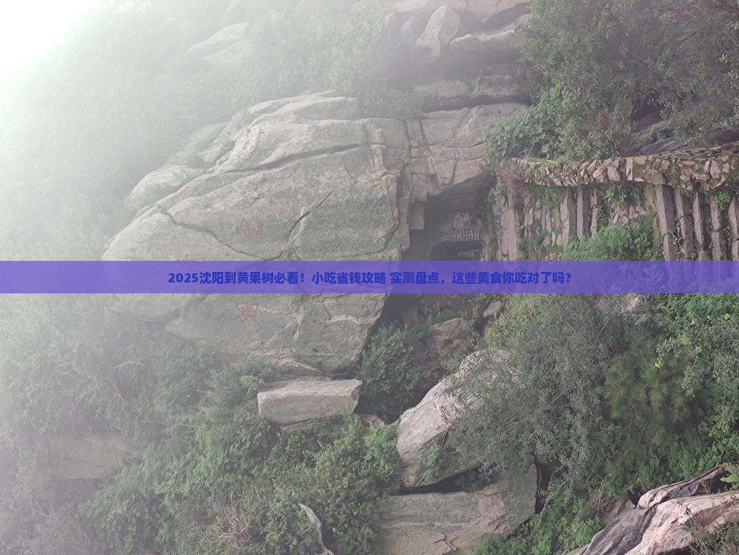 沈阳到贵州黄果树瀑布旅游小吃