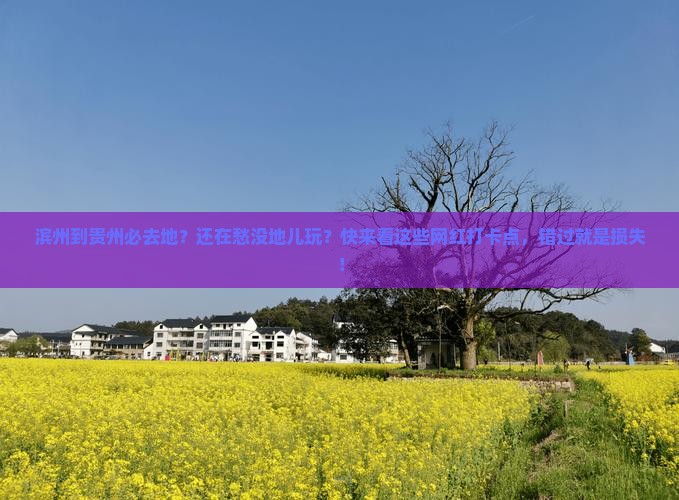 滨州到贵州必去地