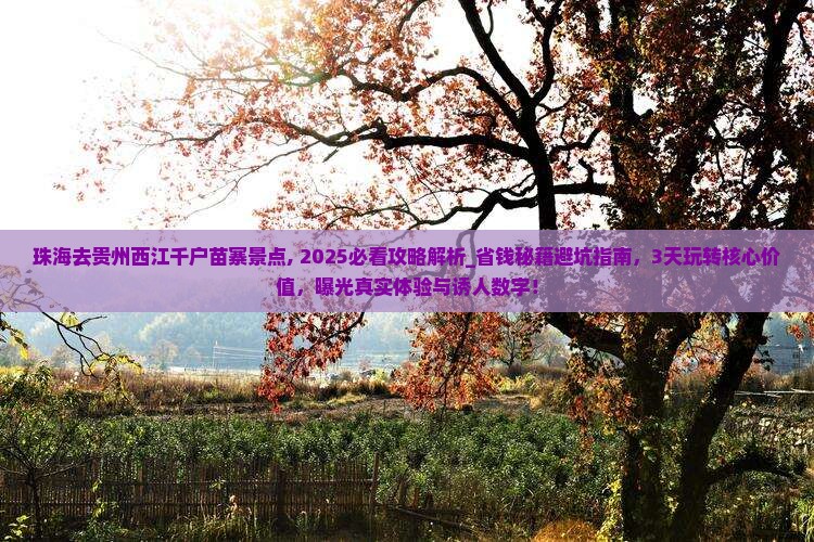 珠海去贵州西江千户苗寨景点