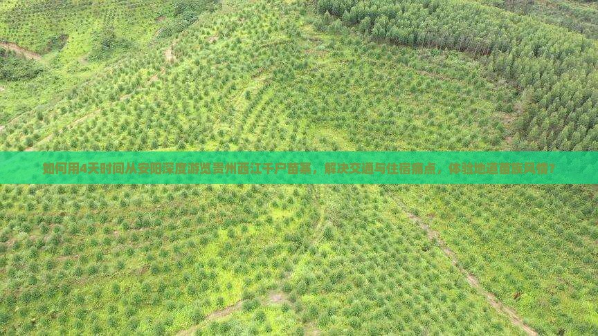 如何用4天时间从安阳深度游览贵州西江千户苗寨，解决交通与住宿痛点，体验地道苗族风情？
