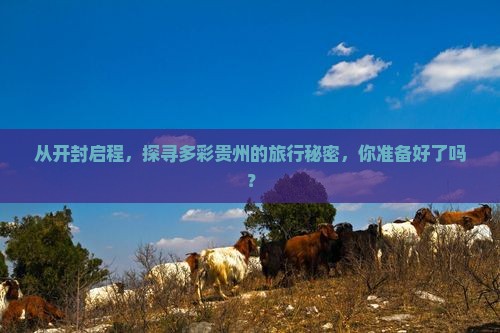 从开封启程，探寻多彩贵州的旅行秘密，你准备好了吗？