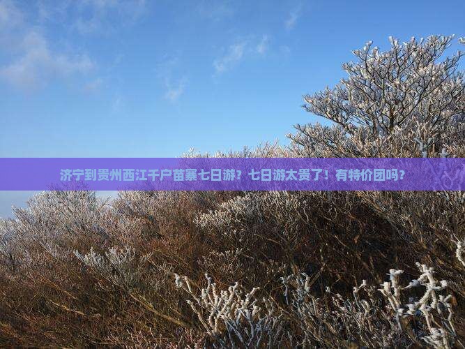 济宁到贵州西江千户苗寨七日游？七日游太贵了！有特价团吗？