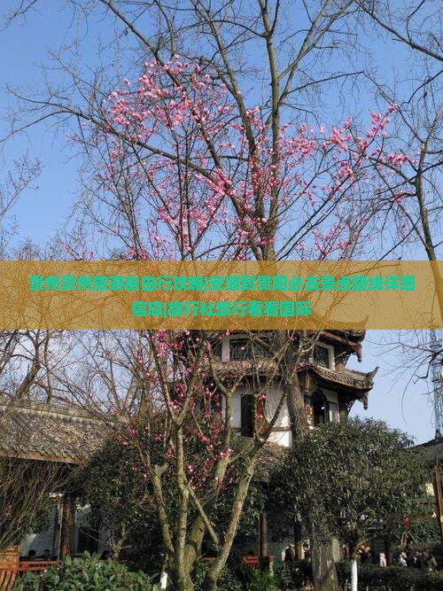 贵州贵州旅游自由行攻略|安顺到贵阳必去景点路线详细信息|旅行社旅行看看国际