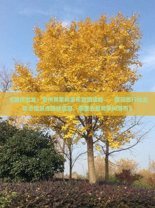 《迪庆出发：贵州黄果树瀑布旅游攻略——国际旅行社北京必佳景点路线信息，哪里去看黄果树瀑布》