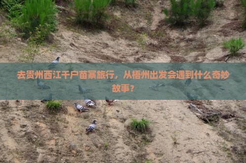 去贵州西江千户苗寨旅行，从梧州出发会遇到什么奇妙故事？