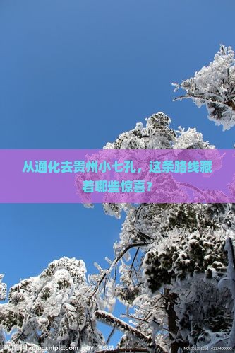 通化到贵州小七孔哪里玩
