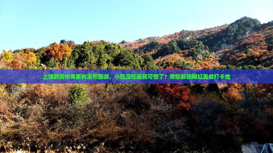 上饶到贵州黄果树瀑布旅游小吃