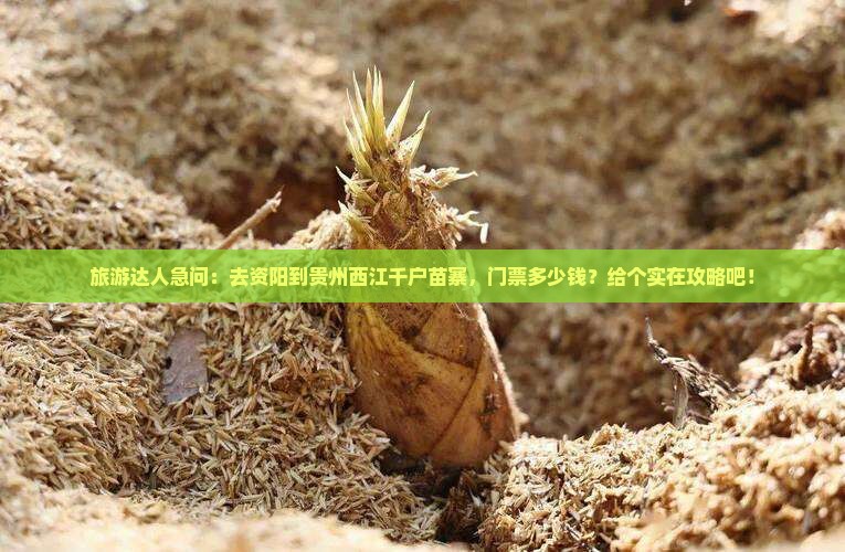 资阳到贵州西江千户苗寨门票