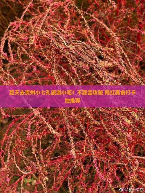 夏天去贵州小七孔旅游小吃