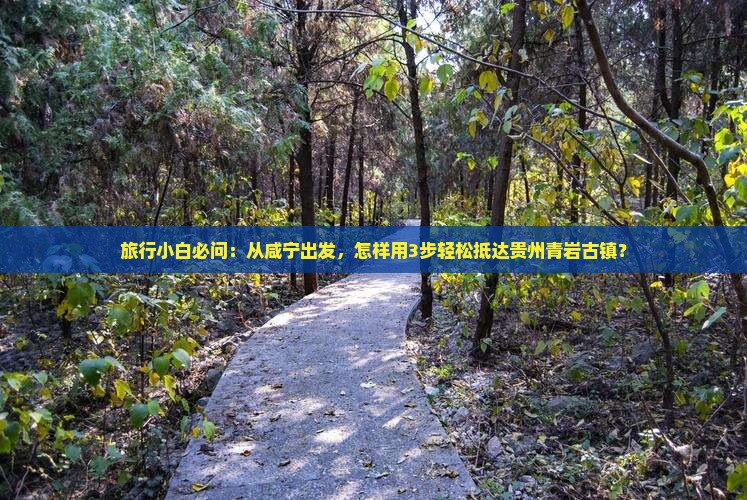 咸宁到贵州青岩古镇景点