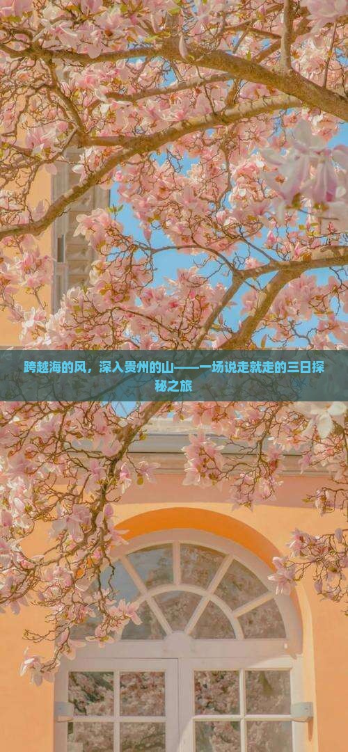 海口到贵州三日游